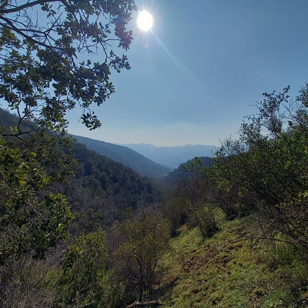 Caminata por los cerros